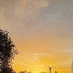 Its_pankhuri_590 Profile Picture