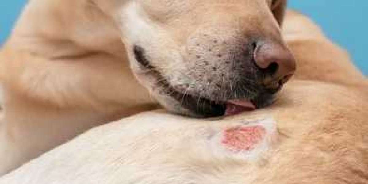 Fenbendazole 150 mg Dewormer for Dogs: Trusted Solution for Parasite Control