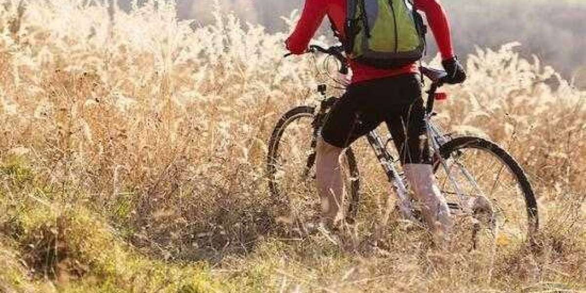 Xyz089’s Bio: The Woman Behind the Screen