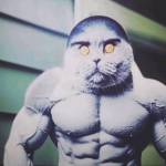 Llyx Llyx Profile Picture